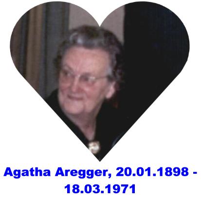 Agi.JPG (18208 Byte)
